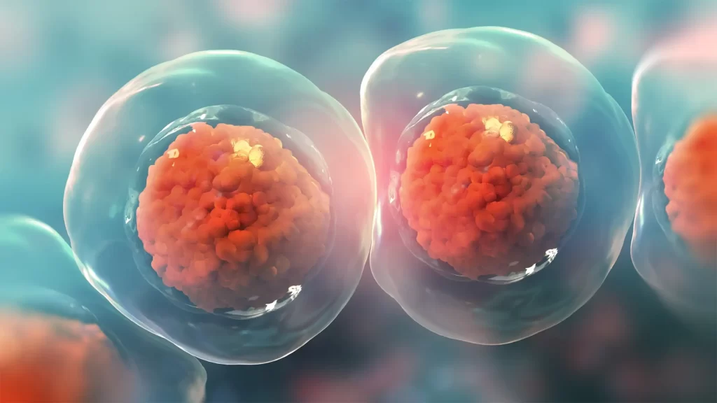 regeneración celular