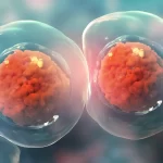 regeneración celular